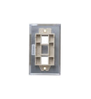 FACEPLATE, STAINLESS STEEL,1-GANG,2-PORT