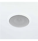 Satellite Ceiling Speaker