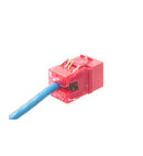 MODULE, CAT 6, HD, 25PK, RED