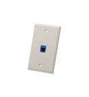 FACEPLATE, FLAT, 1-GANG, 1-PORT, ALMOND
