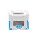 MODULE, CAT 5e, EZ, 25 PK, WHITE