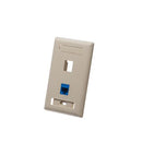 FACEPLATE, ID, 1-GANG, 2-PORT, IVORY