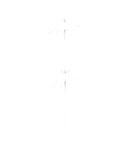 22 Rimfire AR500 1/4" Animal Target Set