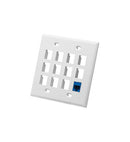 FACEPLATE, FLAT, 2-GANG, 12-PORT, WHITE