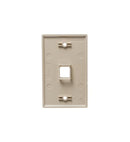 FACEPLATE, FLAT,1-GANG,1-PORT, 25PK, IV