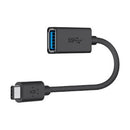Belkin B2B150-BLK 6 inch USB Data Transfer Cable