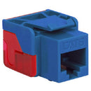 ICC Category 6 EZ Modular Connector (Blue)