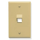 ICC Angled Faceplate 1-Port (Ivory)
