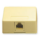 ICC Surface Mount Jack 6P6C (Ivory)